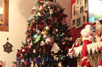 Kim Christmas Tree